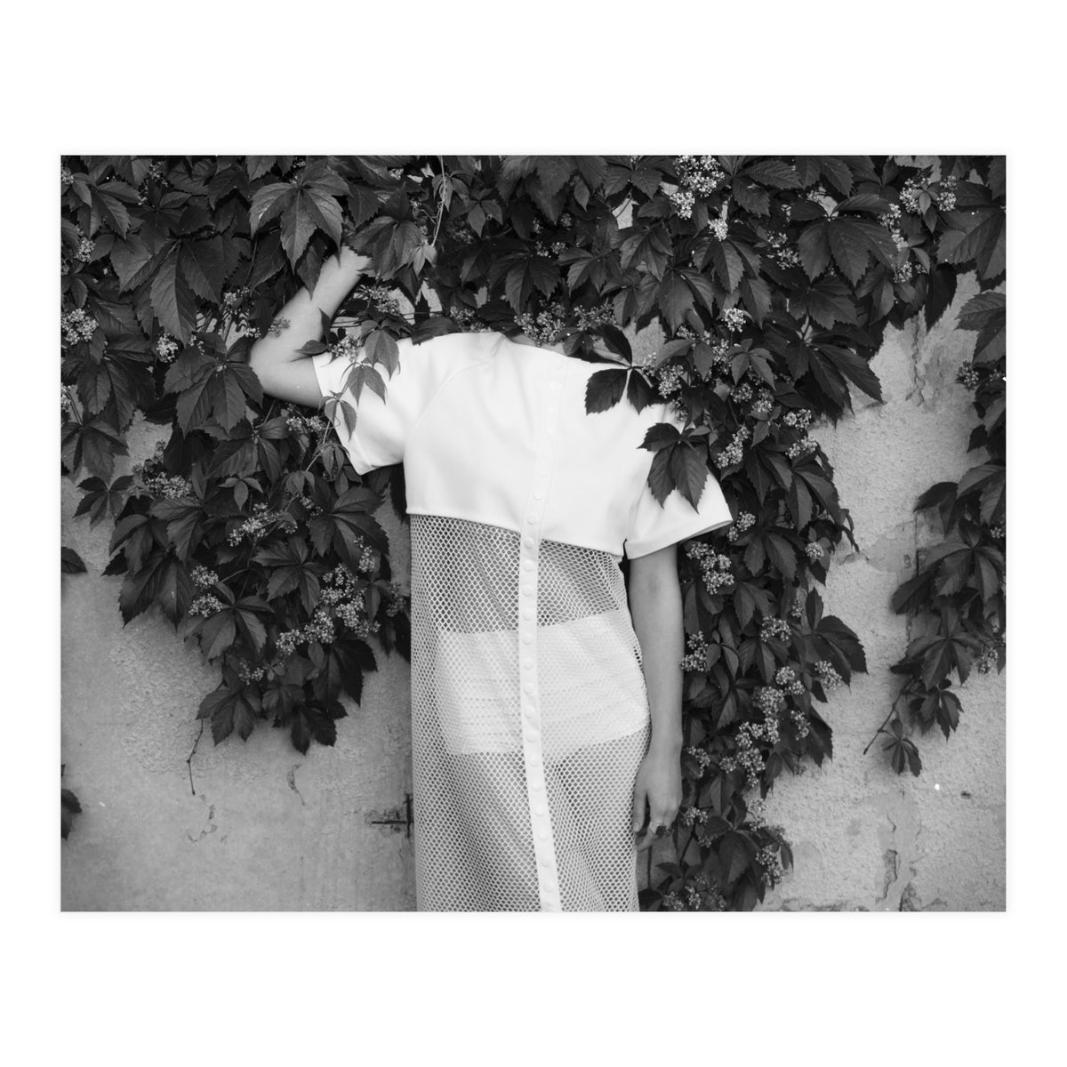 Alien Abduction (Print Only)