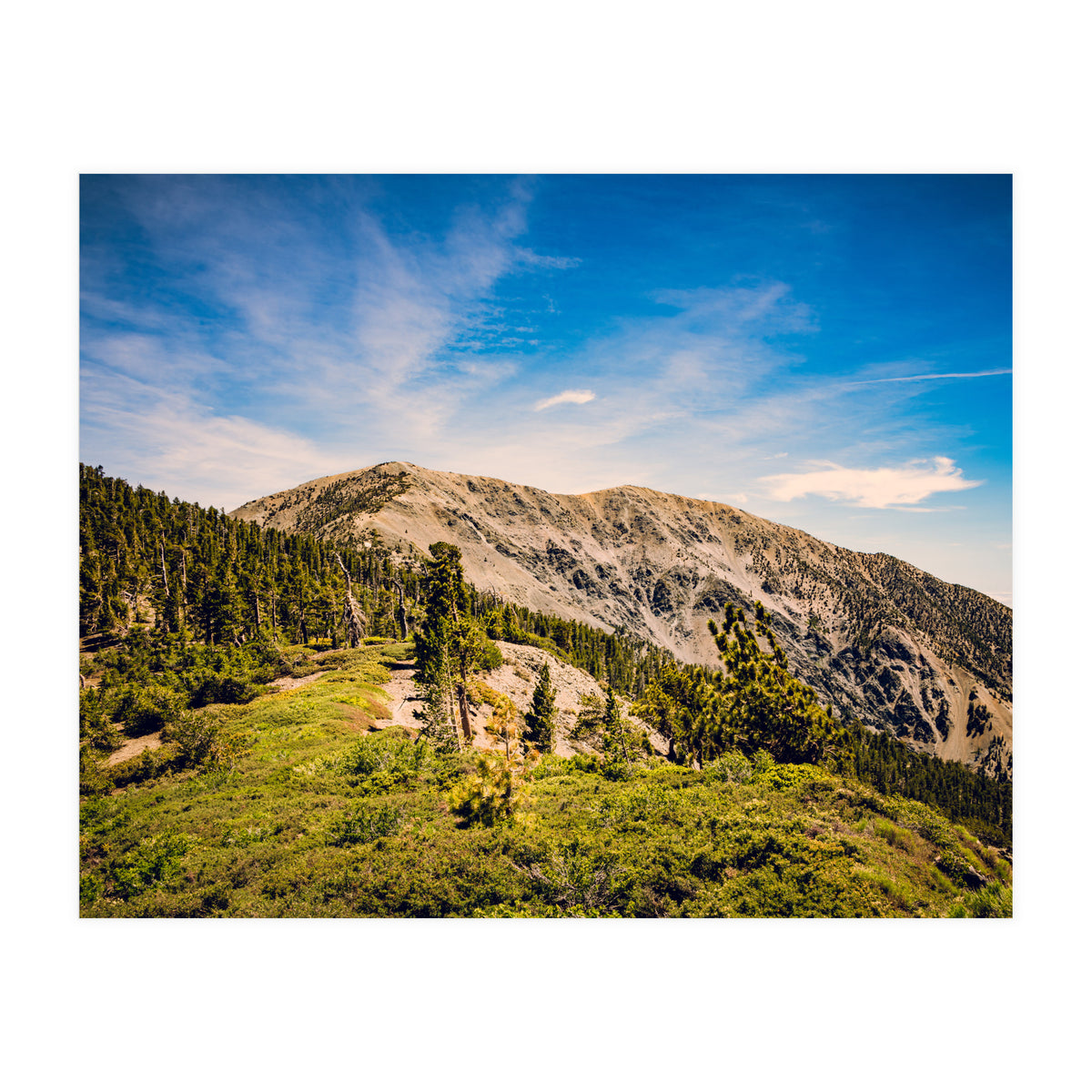 Mt Baldy (Print Only)