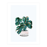 Swiss Cheese Monstera Plant Gold and Green (Print Only) thumbnail