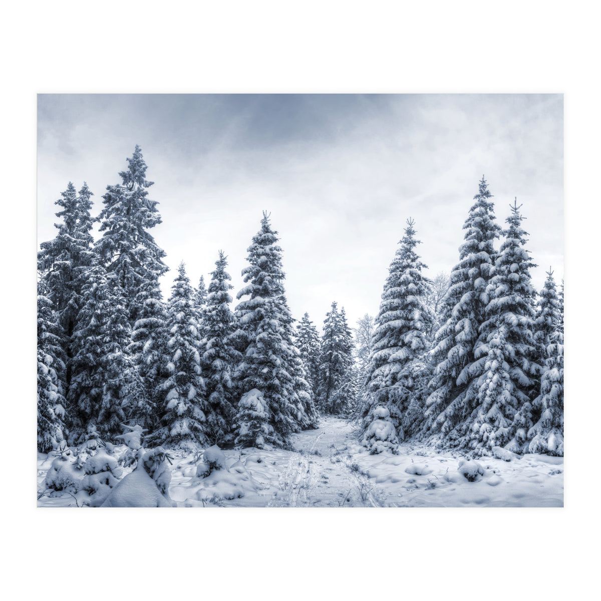 Winterland (Print Only)