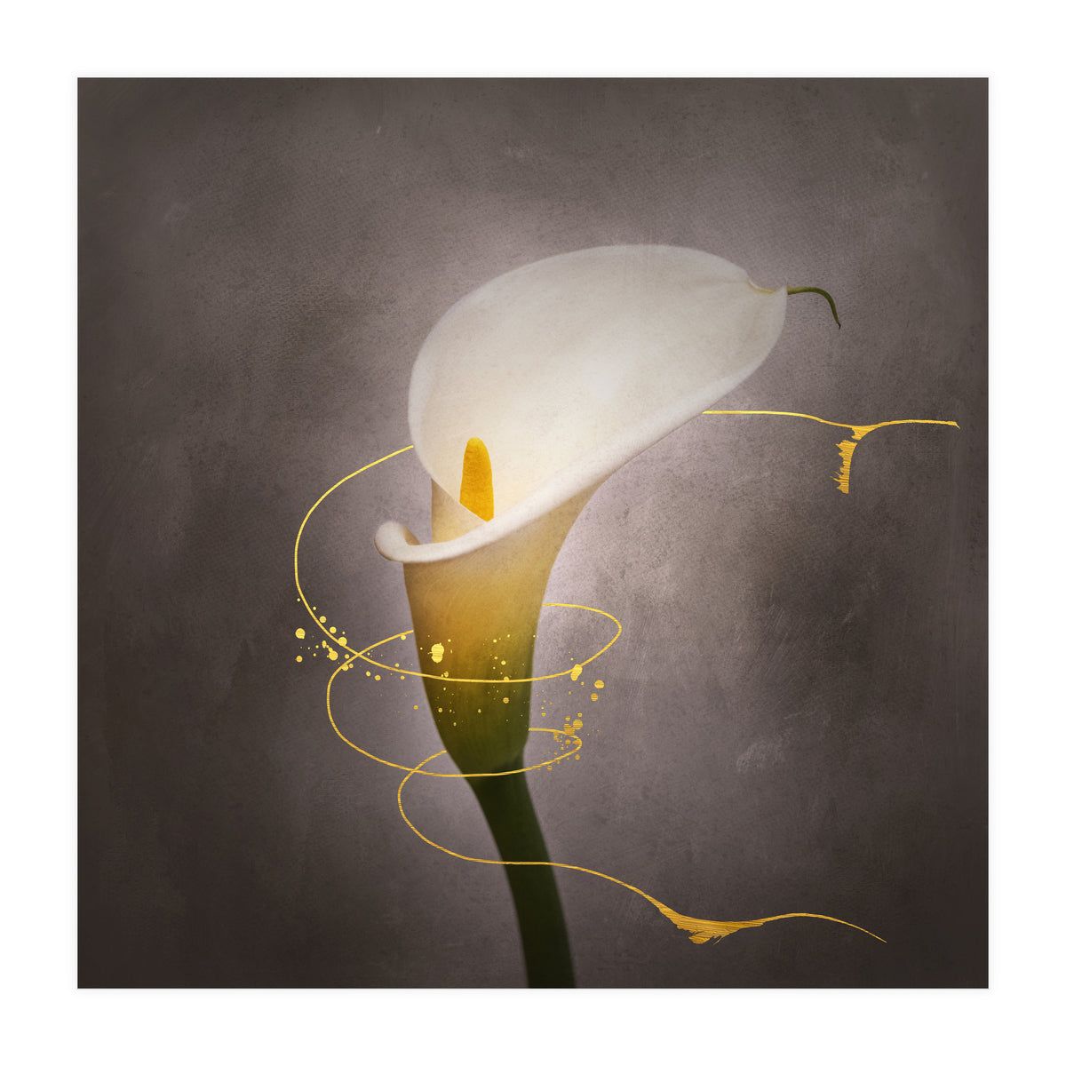 Graceful flower - Calla No. 4 | vintage style gold (Print Only)
