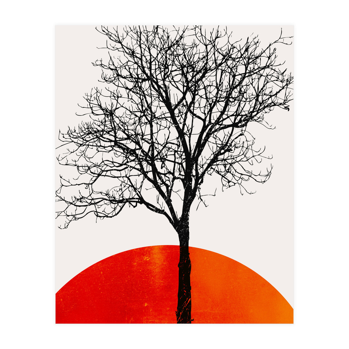 The Birch 3 (Print Only)