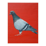 Pigeon (Print Only) thumbnail