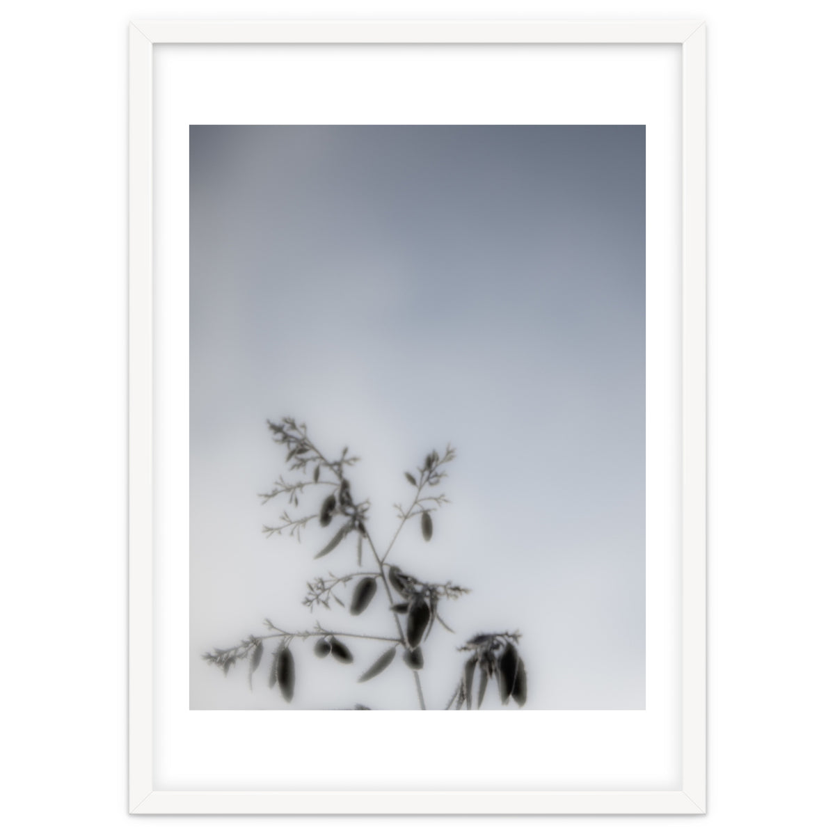 Forgotten Memories of Summer #17