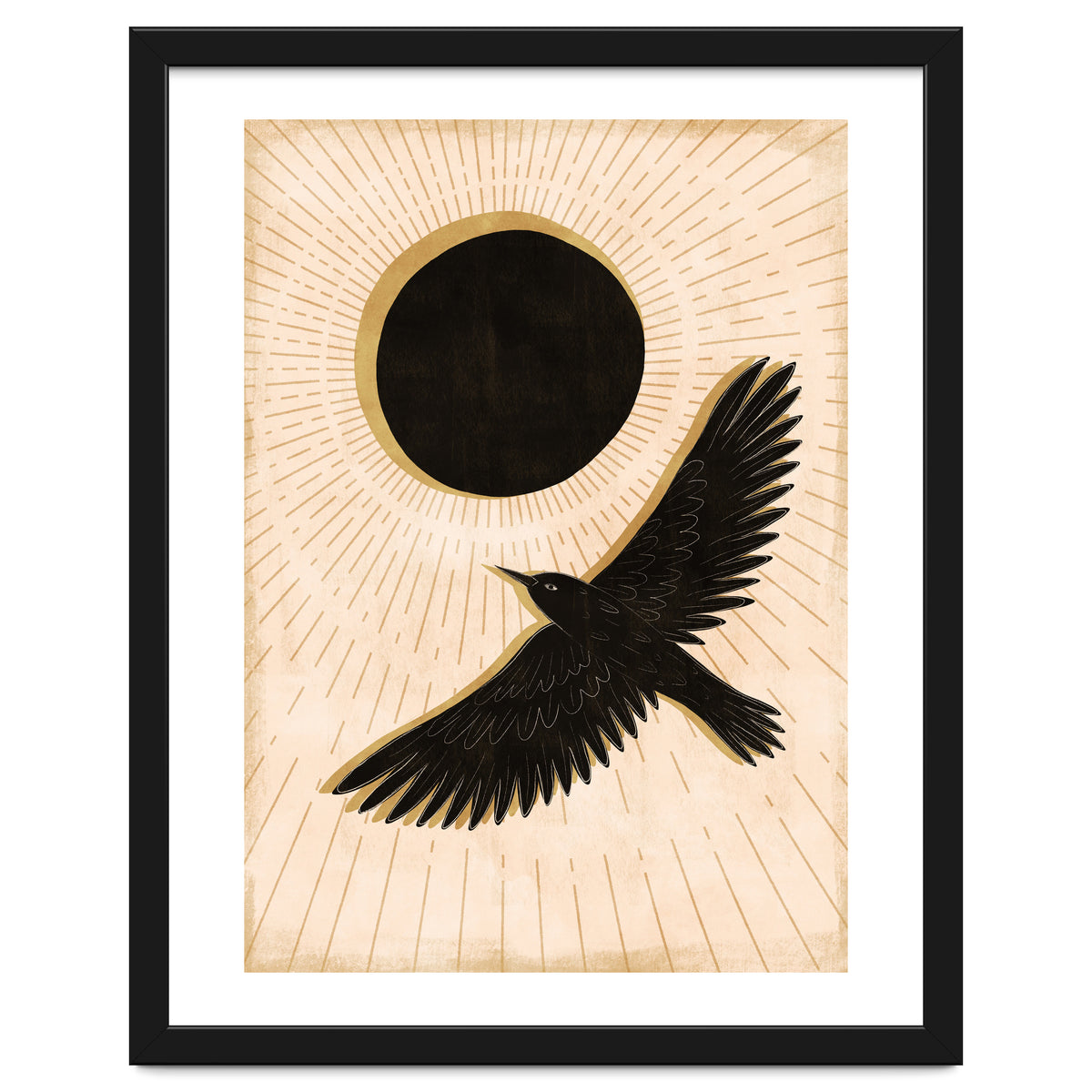 Raven And A Black Sun