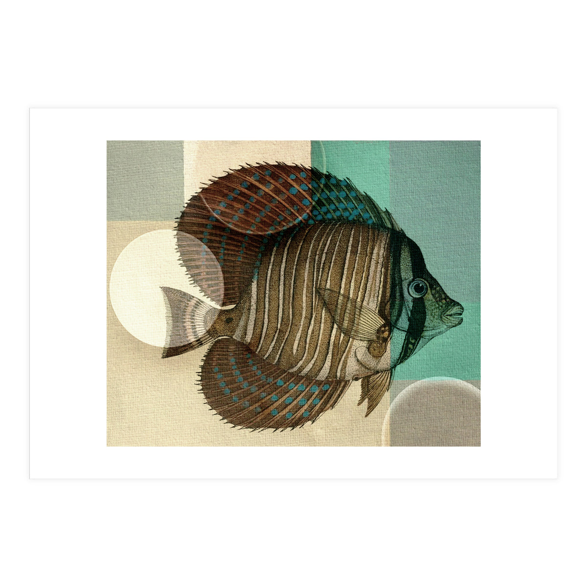 Fish Between Circles 4 (Print Only)