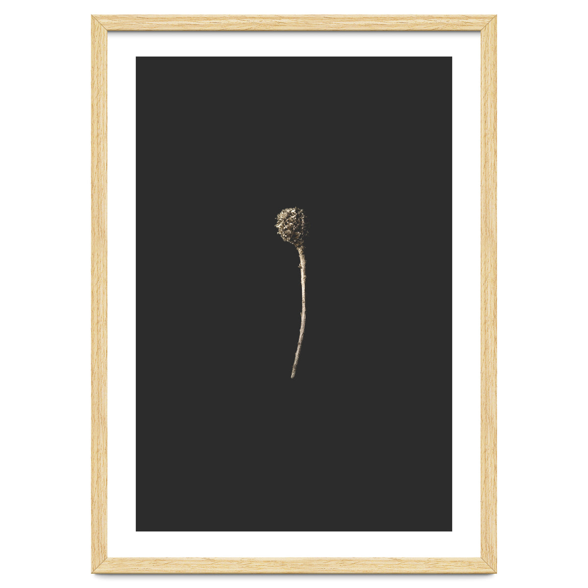 Simple Golden Botanical