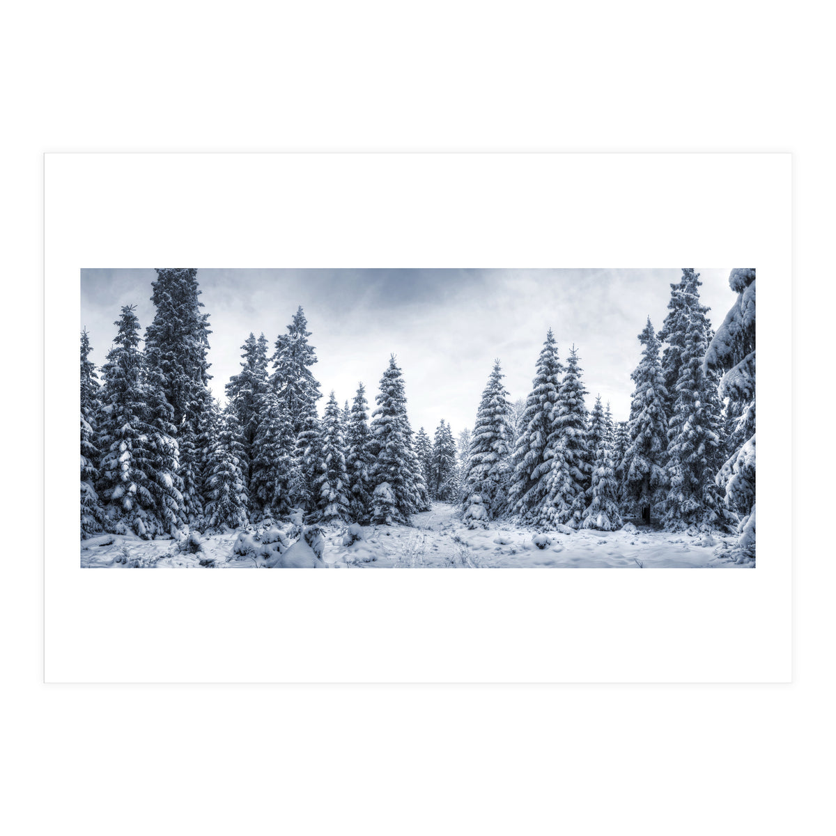 Winterland (Print Only)