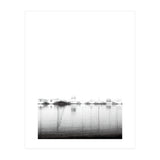 Ghost Ships (Print Only) thumbnail