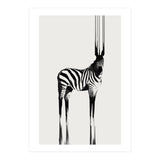 Zebra  (Print Only) thumbnail
