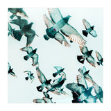 Rise (Print Only) thumbnail