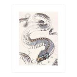 Dream Snake (Print Only) thumbnail