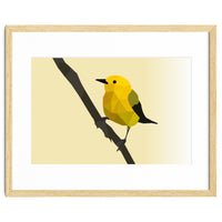 Prothonotary Warbler Low Poly Art