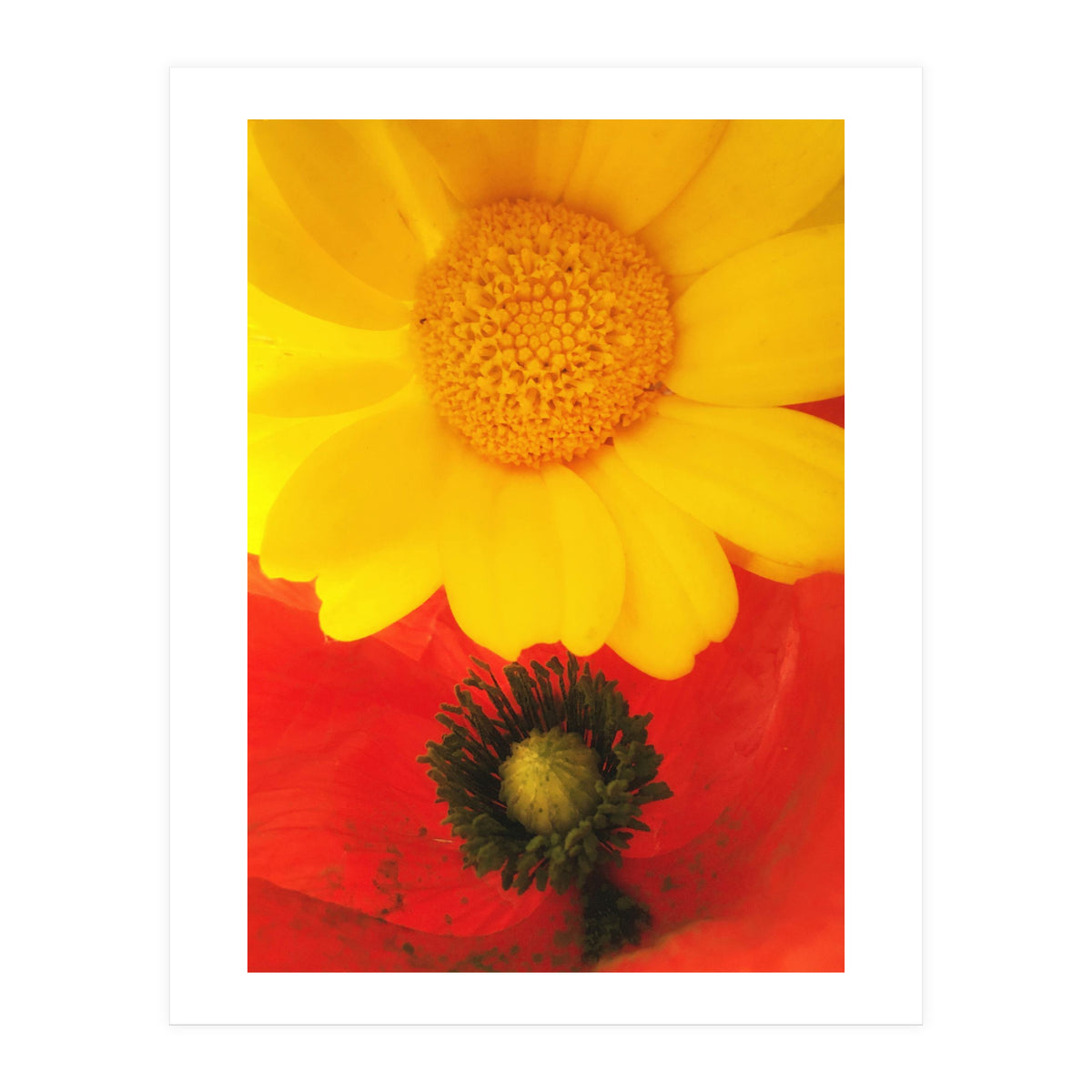 SPRING LOVE (Print Only)