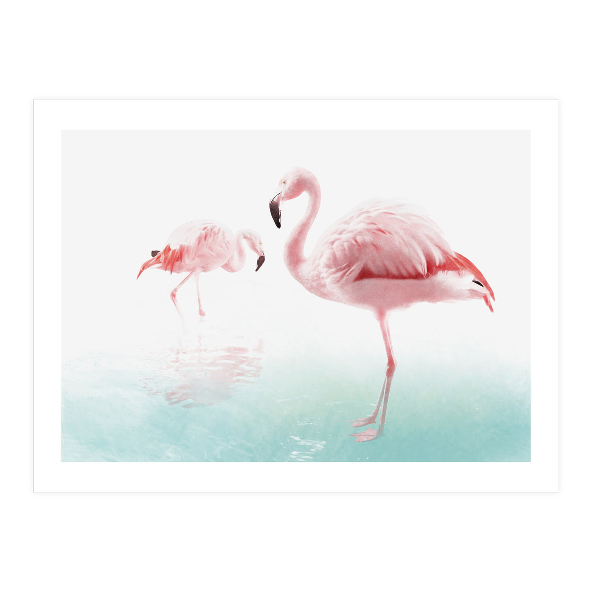 Flamingos (Print Only)