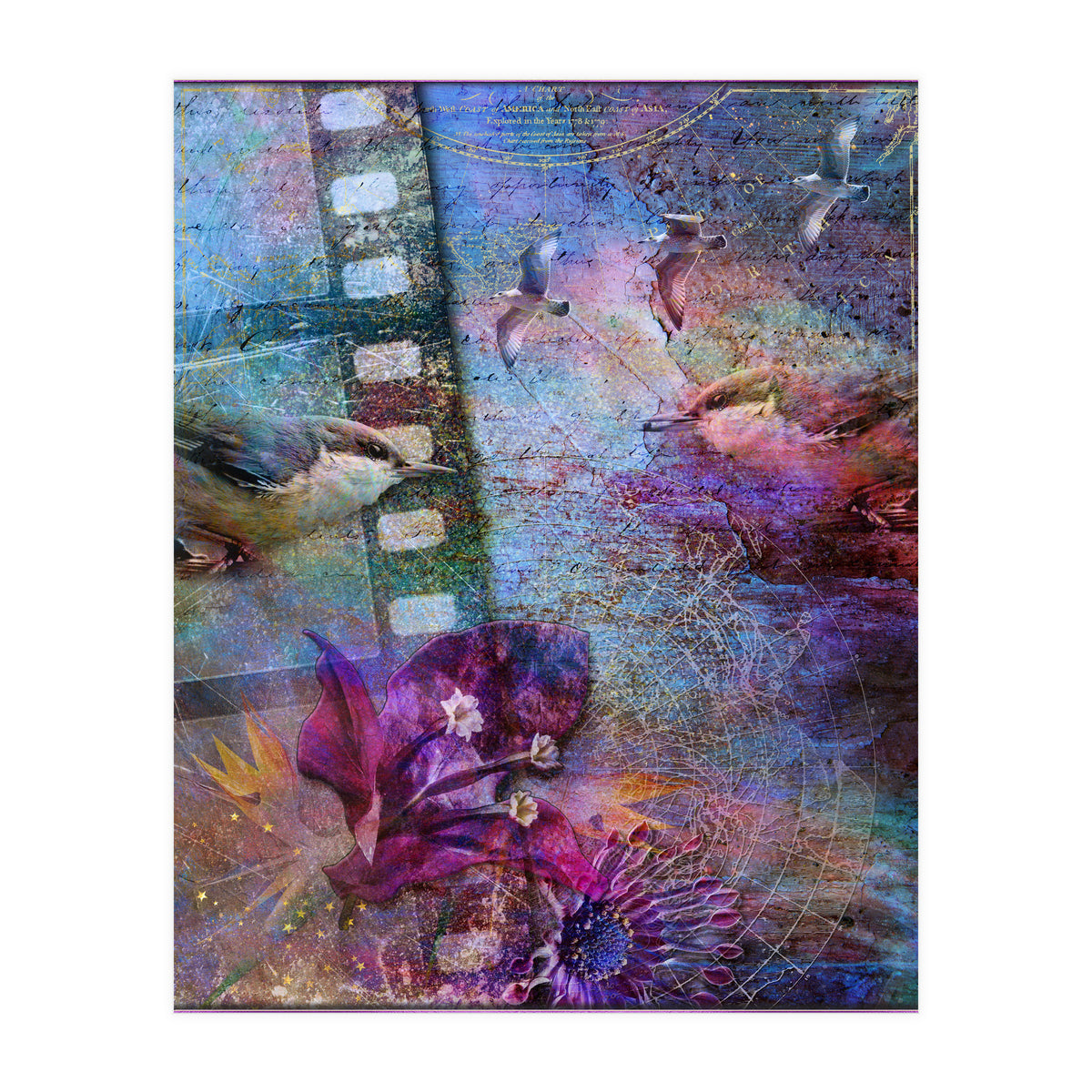 Watching the Wild World (Print Only)