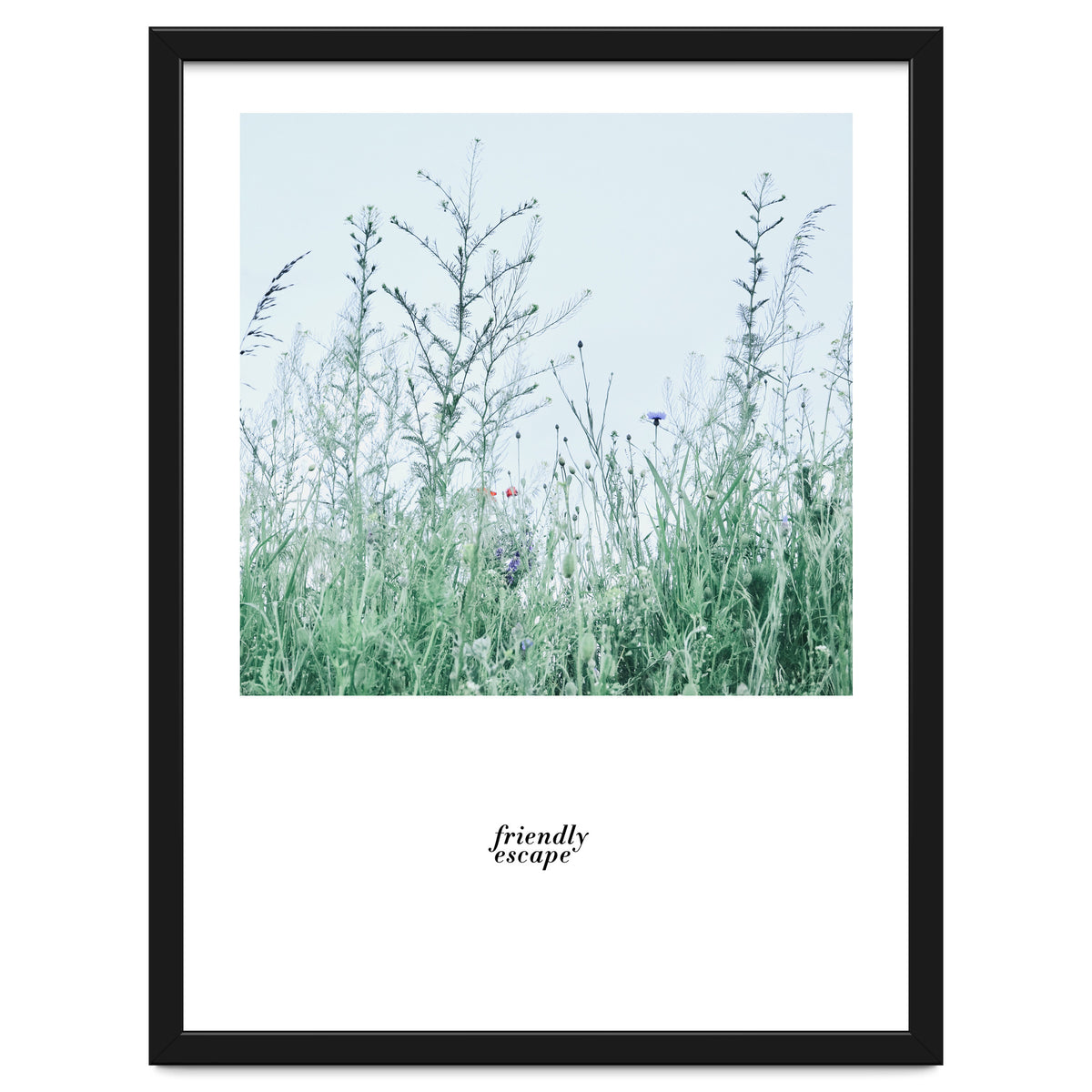 Friendly escape - Nature Photography -