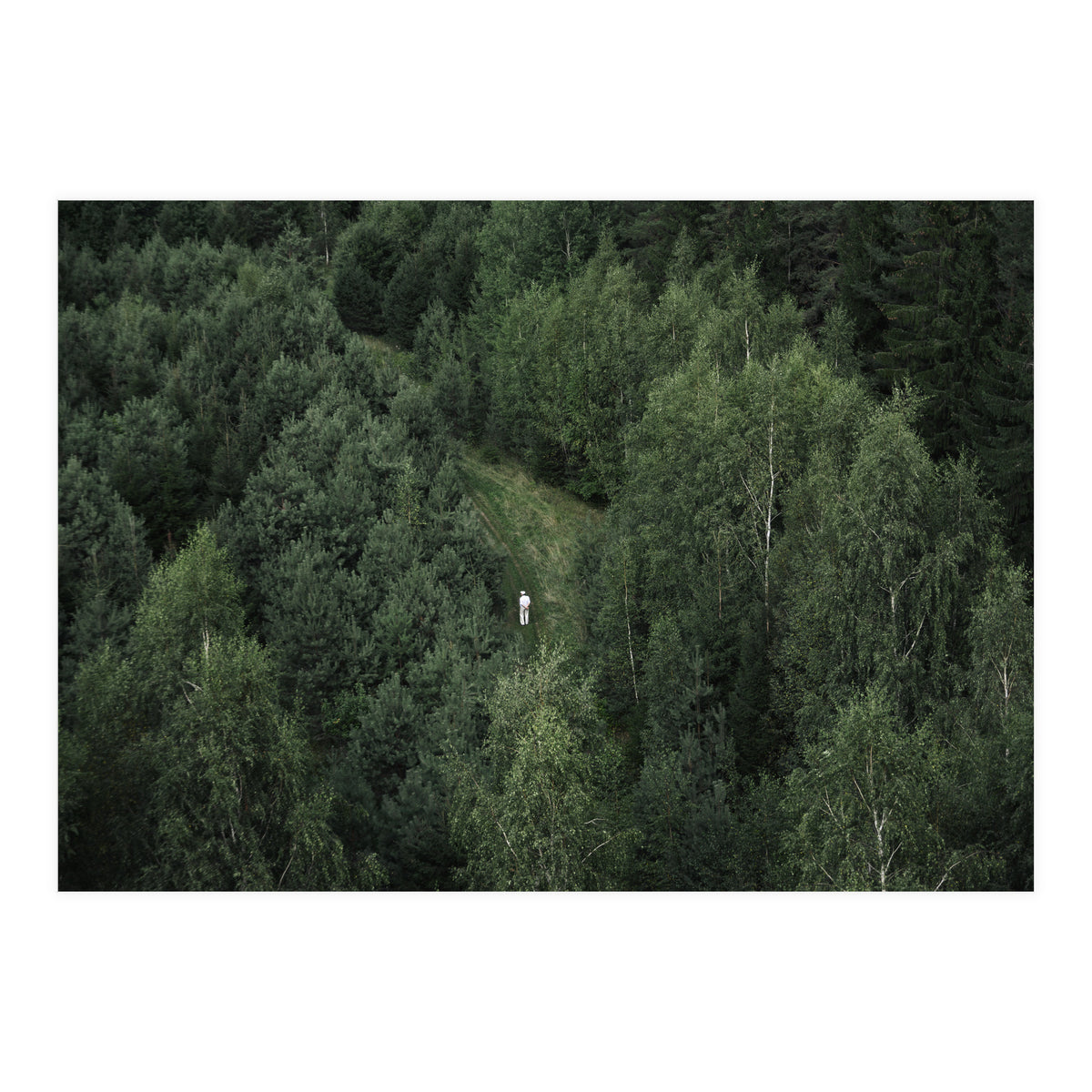 What’s The Date Today? (Print Only)