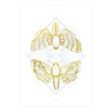 Polillas - Gold (Print Only) thumbnail