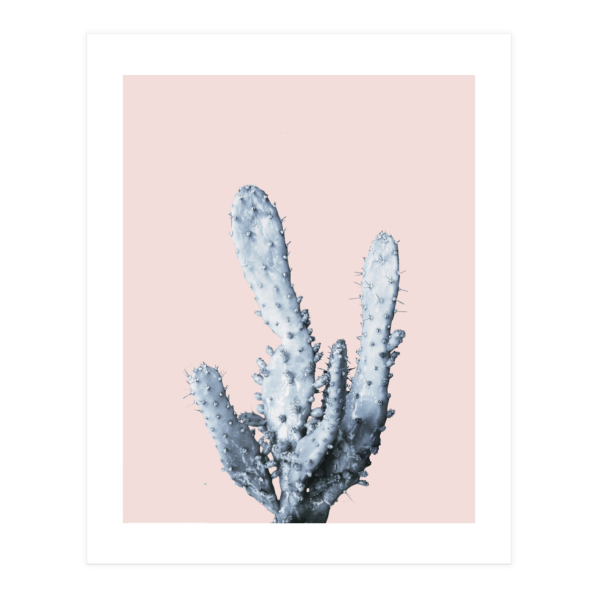 Cactus collection BL-I (Print Only)