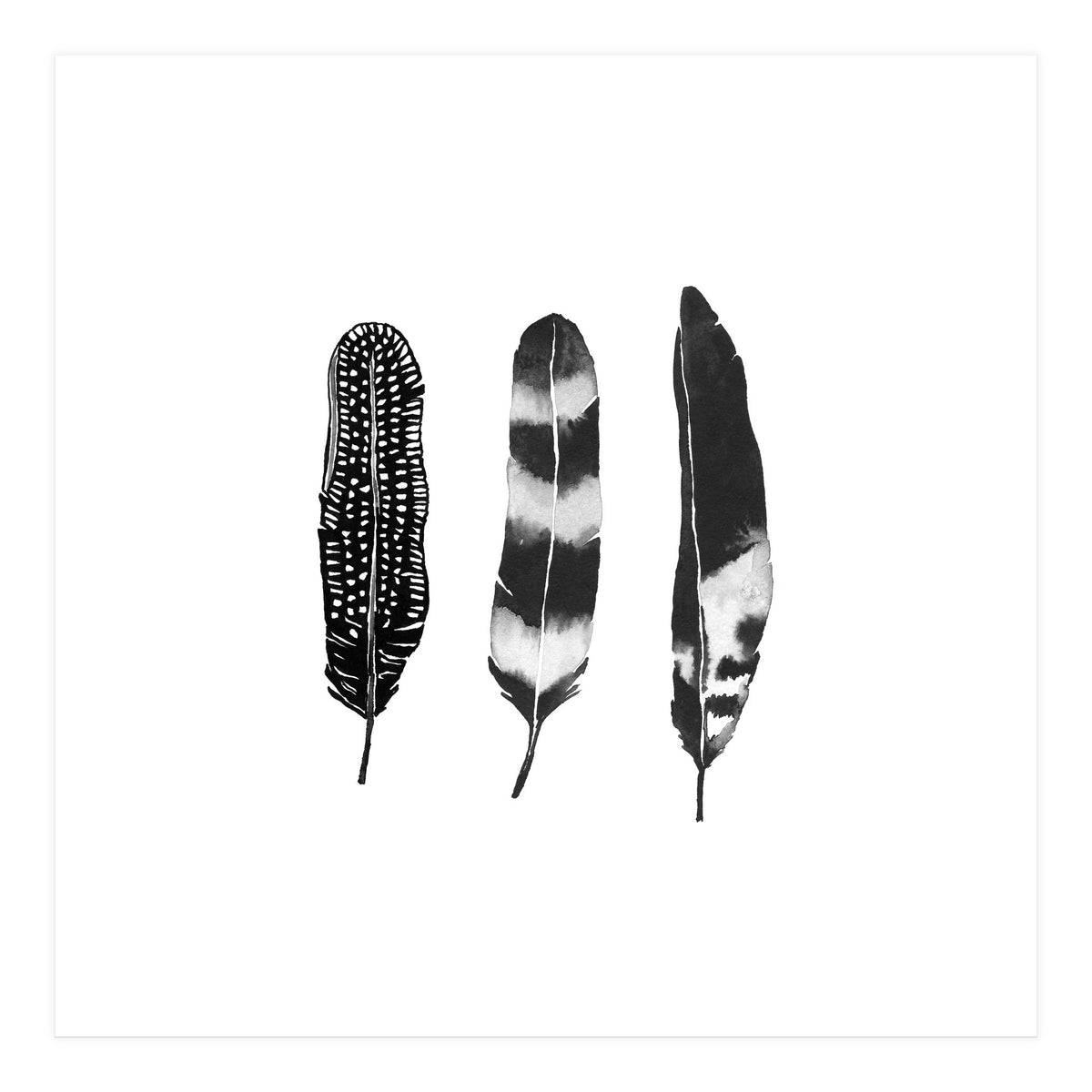 Dark Feather (Print Only)