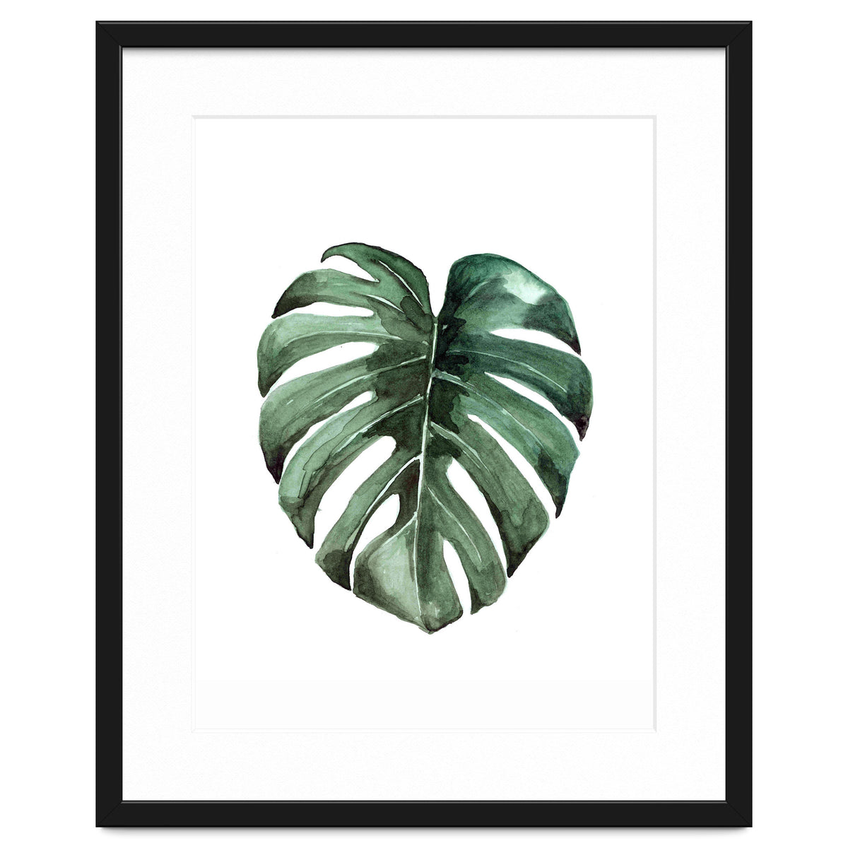 Botanical Illustration Monstera Deliciosa