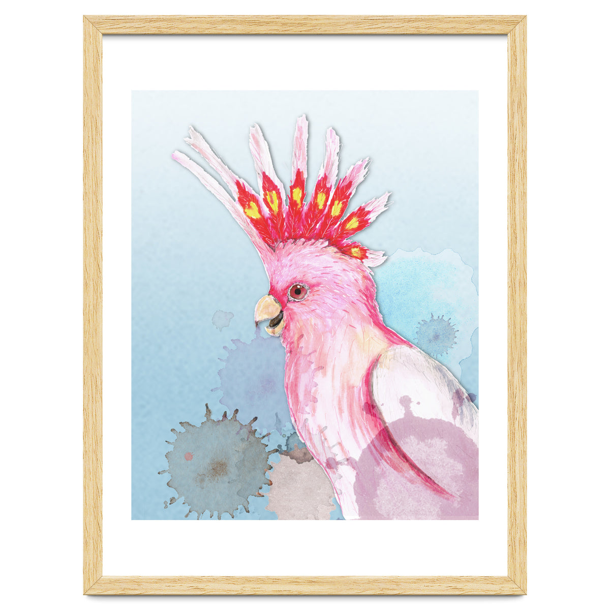 Major Mitchell's cockatoo