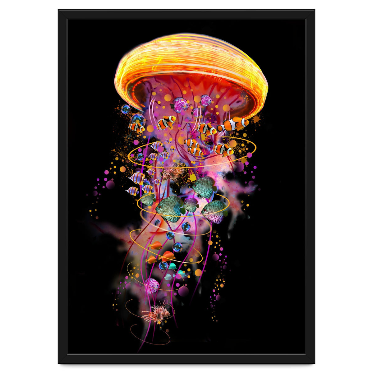 Jelly Fish Ride Summer2018 Dbh