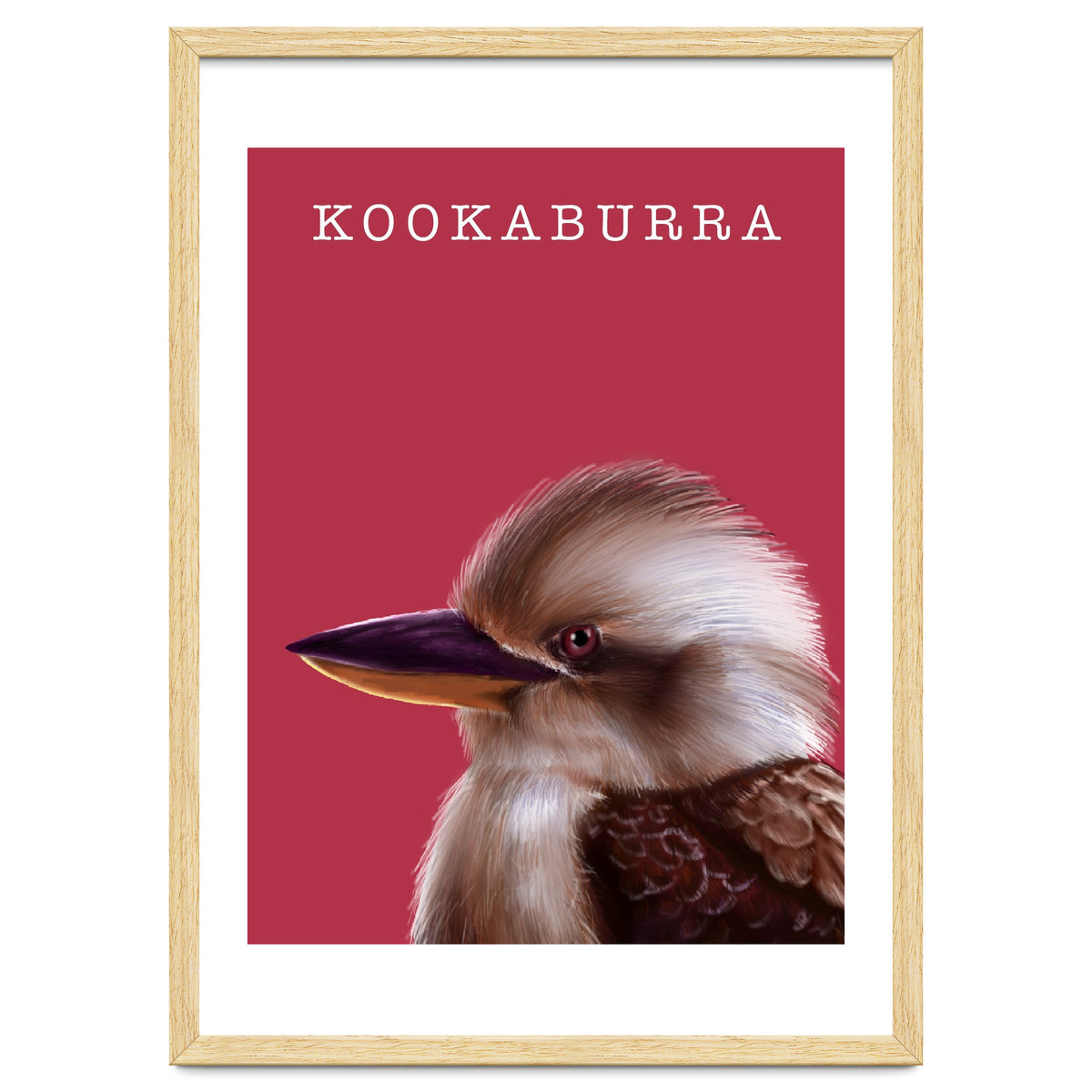 Kookaburra
