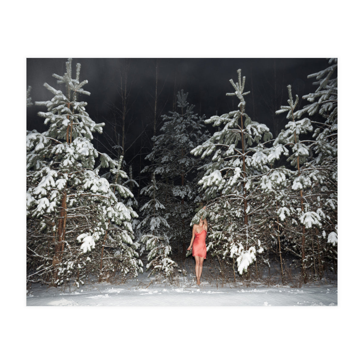 Hiding Game (Print Only)