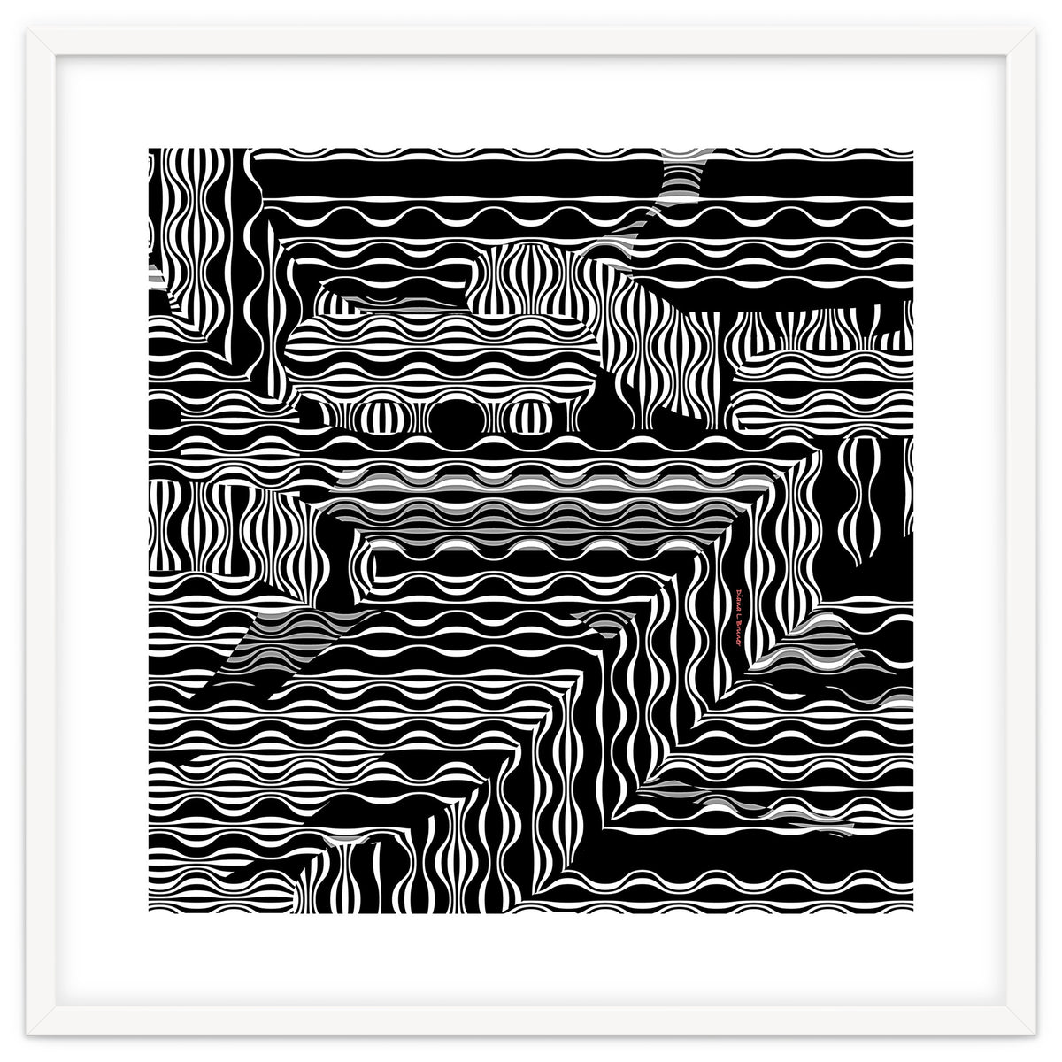 BLACK AND WHITE EXOTIC