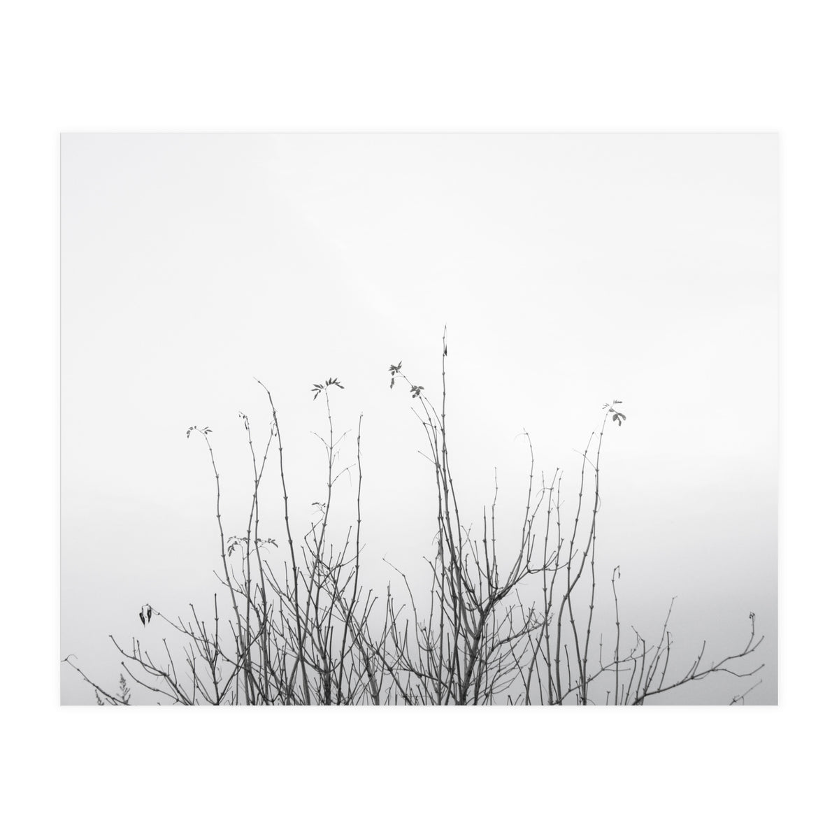 possibly (Print Only)