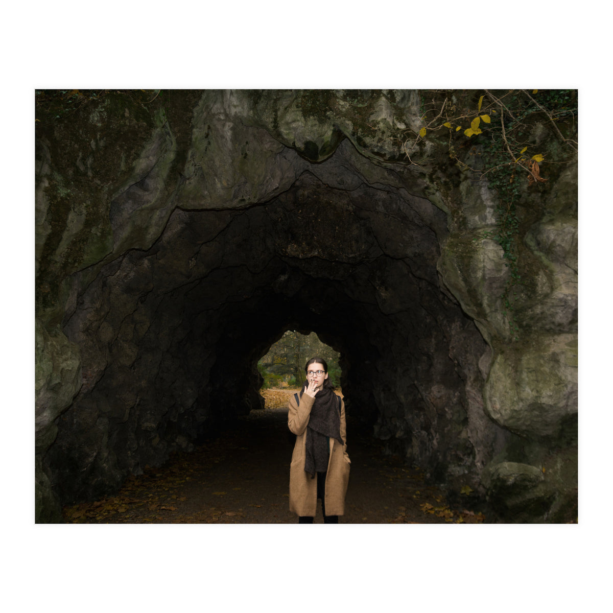 Transition from Summer to Winter (Print Only)