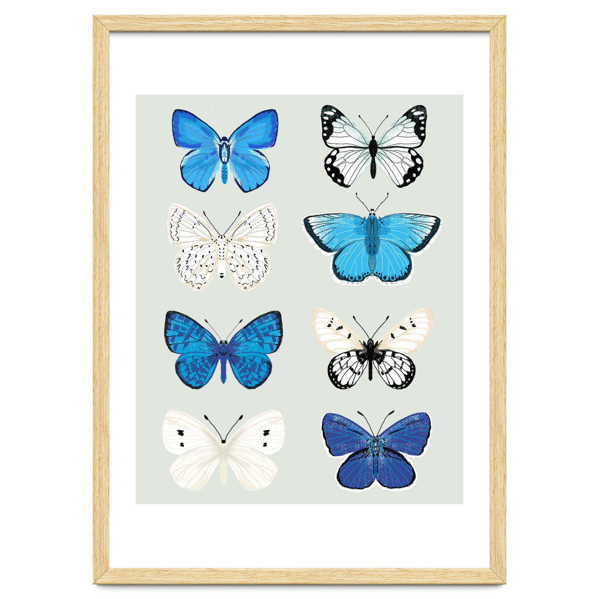 Lepidoptery Study No. 3