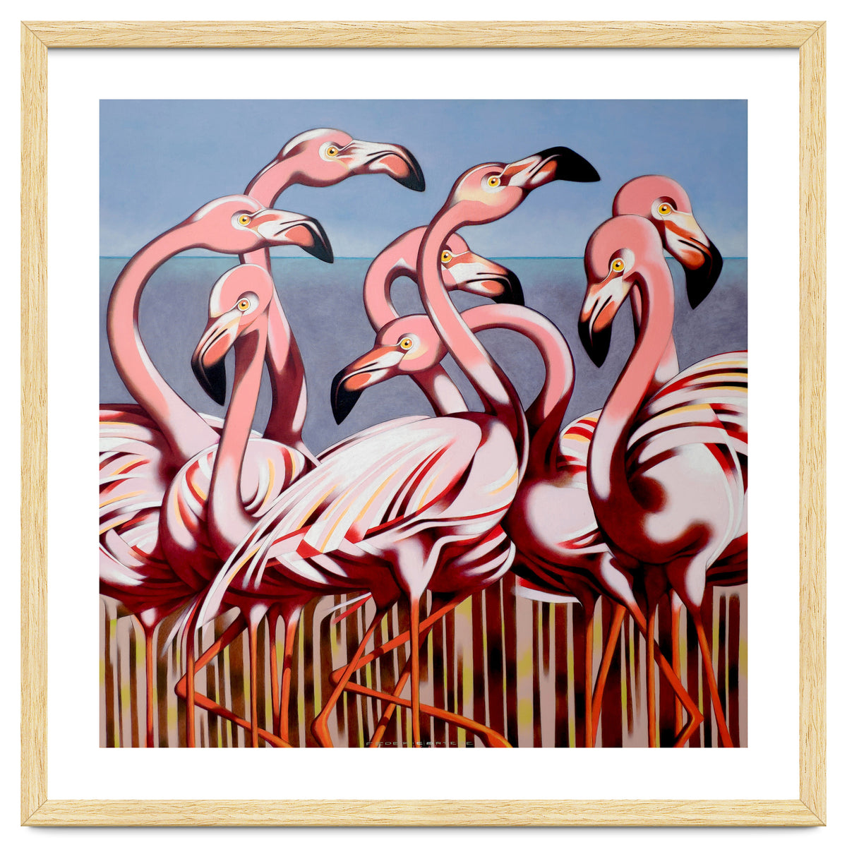 Flamingos