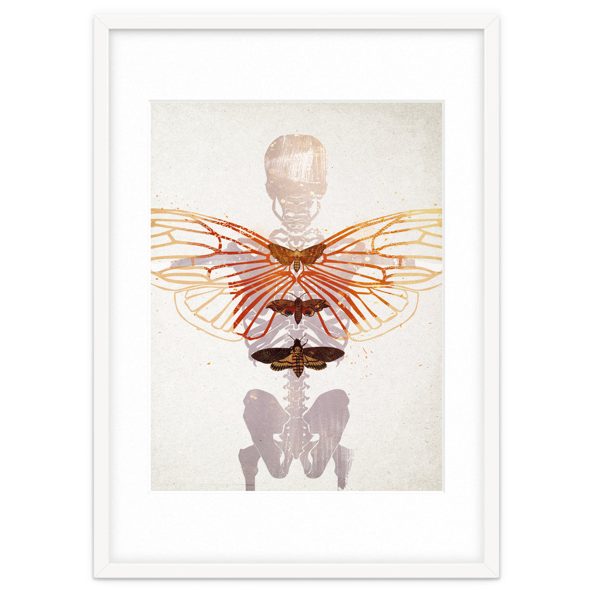 Ikarus - Like a Moth to the Flame