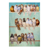 Birds Birds Birds (Print Only) thumbnail