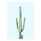 Loner Cactus (Print Only) thumbnail