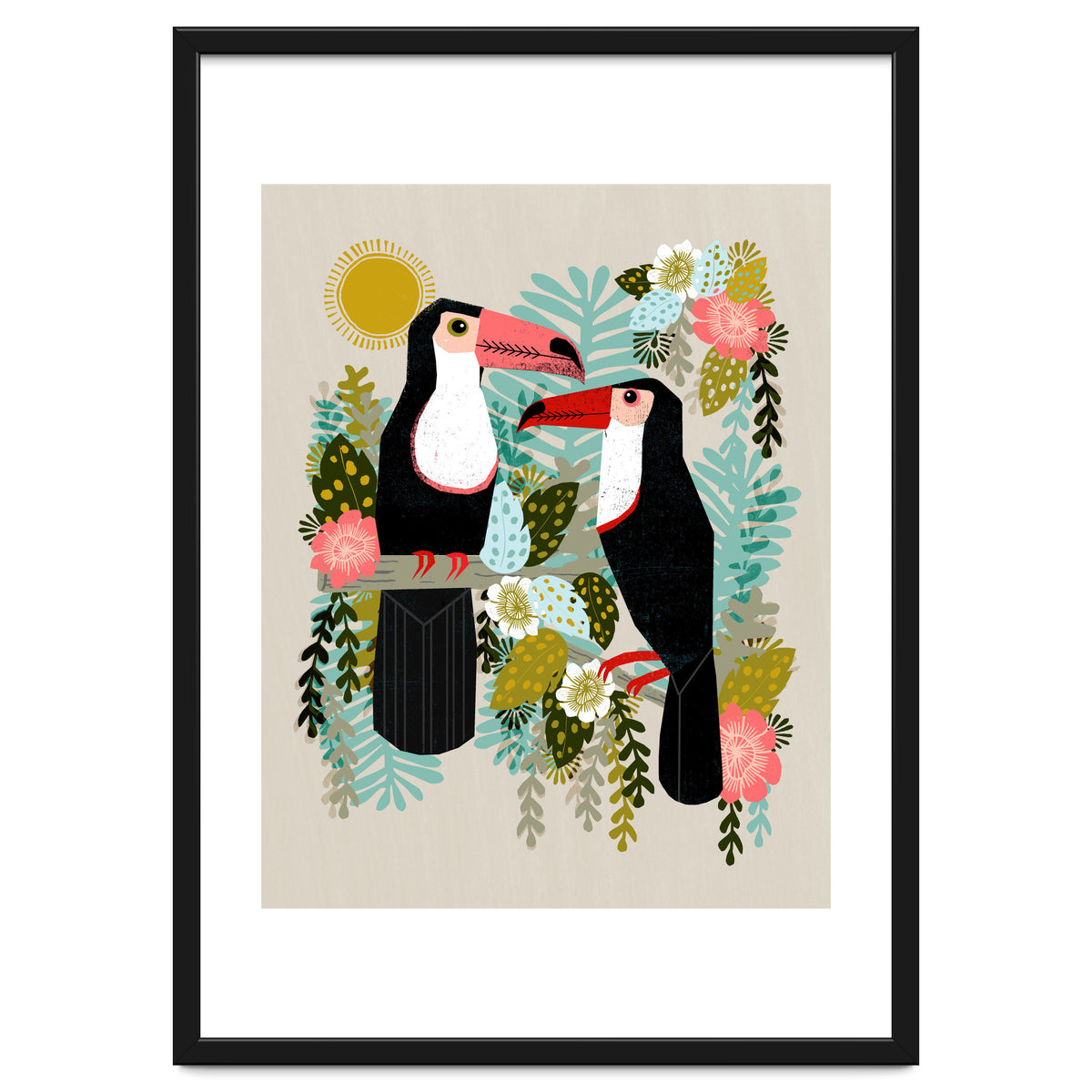 Toucans