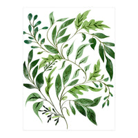 Botanical Abundance, Fresh Green Nature Watercolor Painting, Vibrant Leaves Minimal Illustration (Print Only)