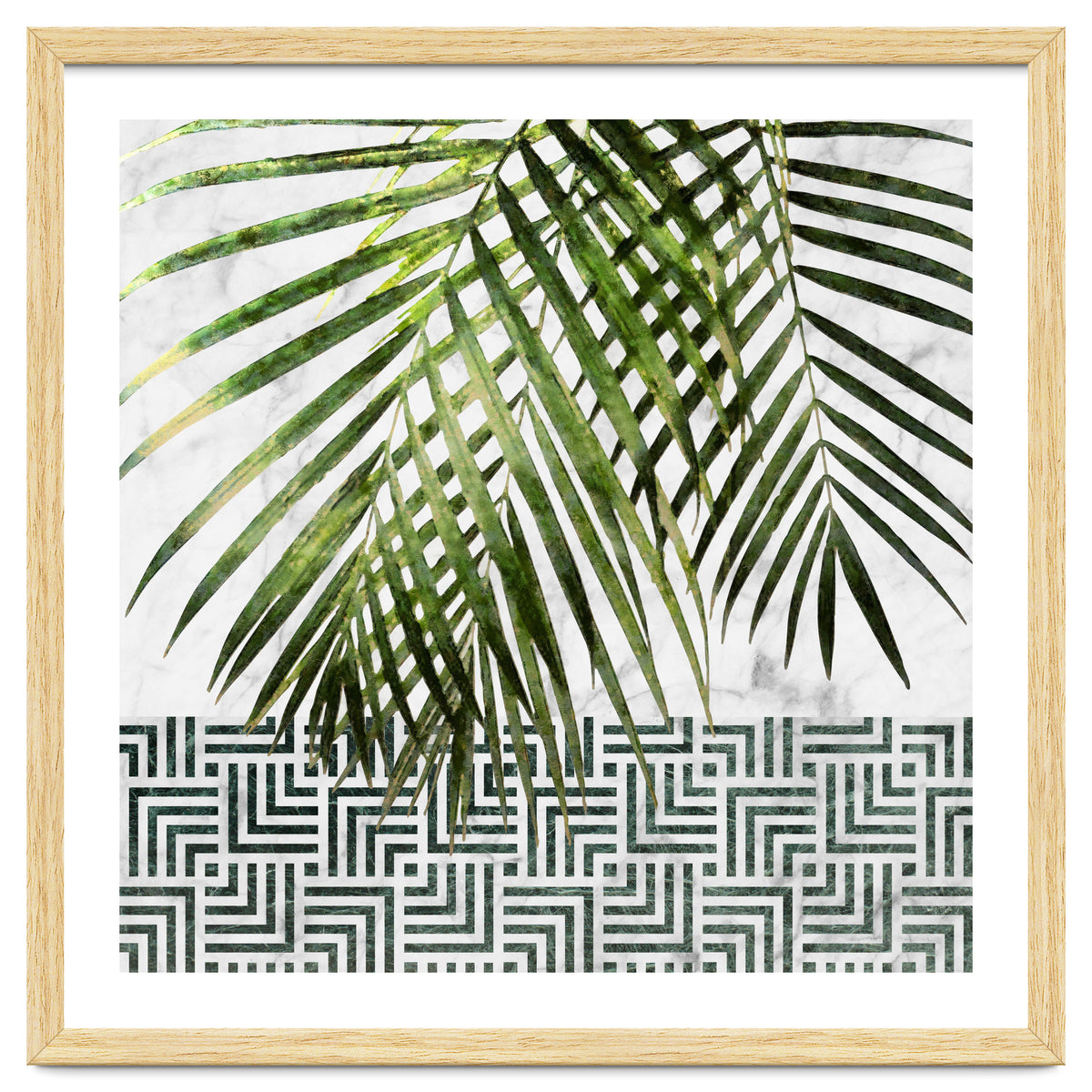 Palm Leaves On White Marble And Tiles