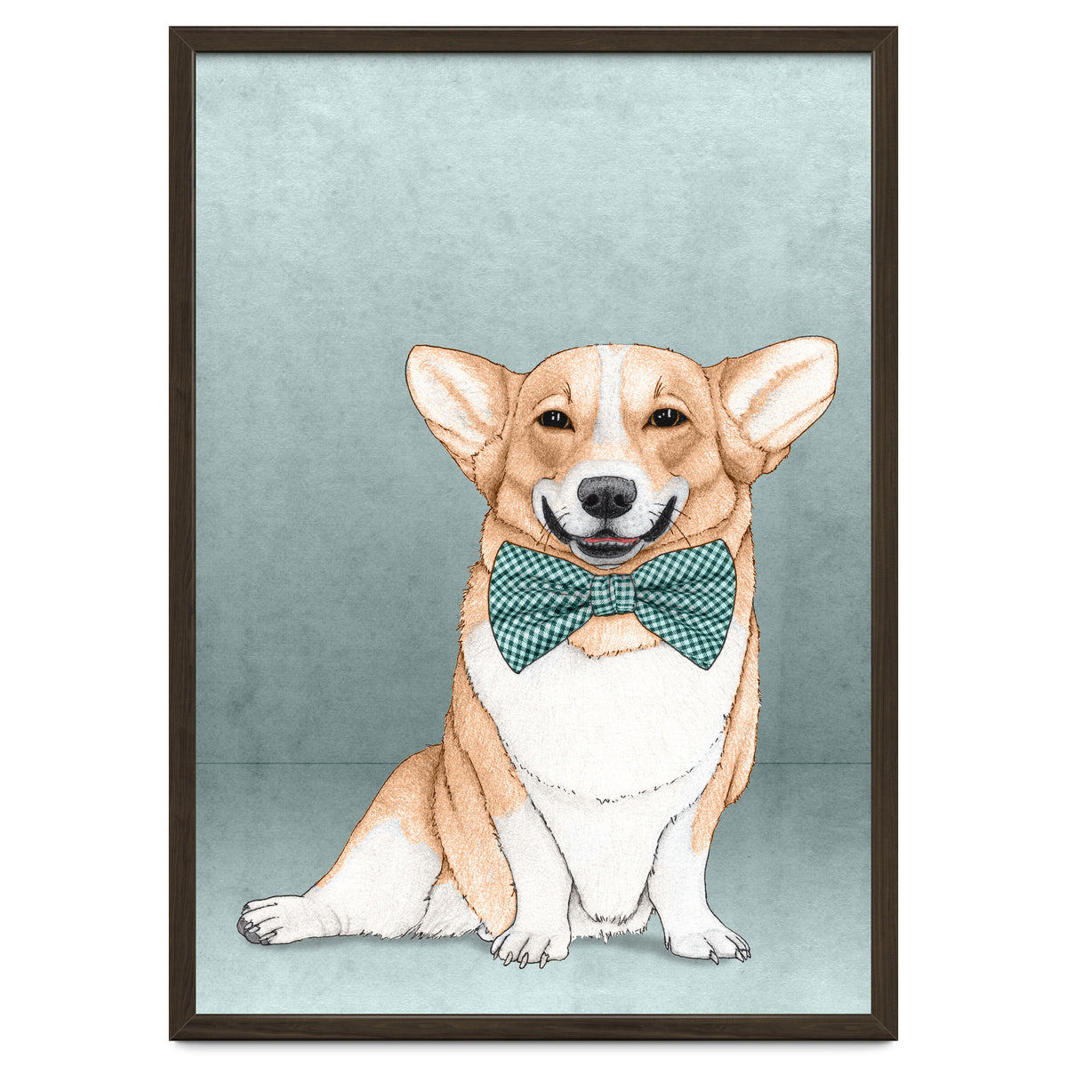 Corgi Dog