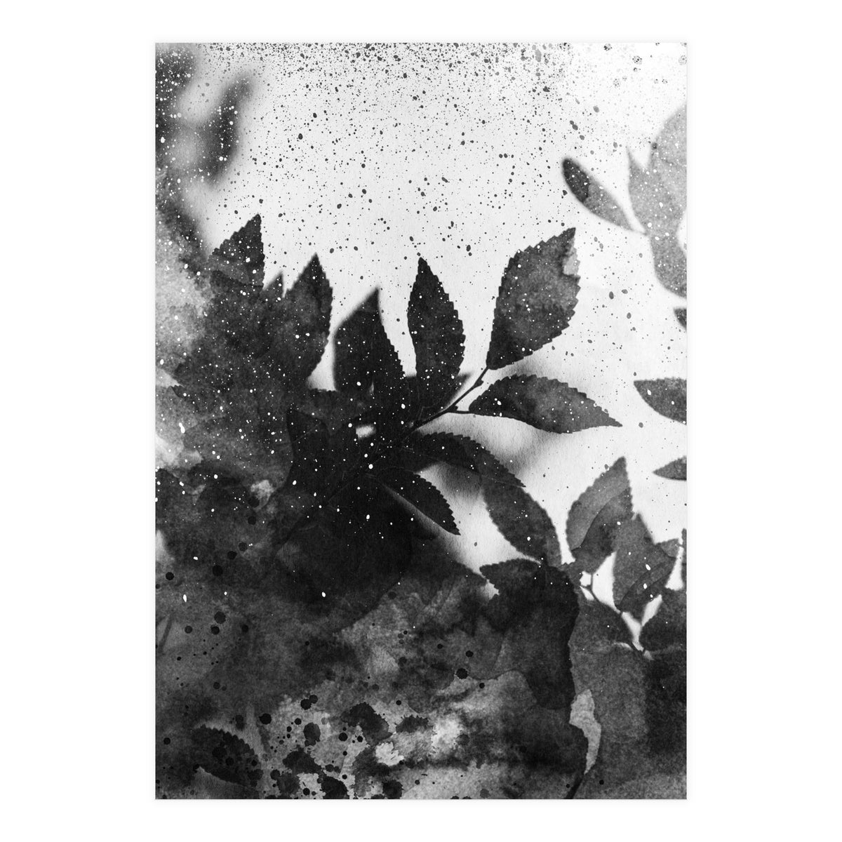 Leaves #1 (Print Only)