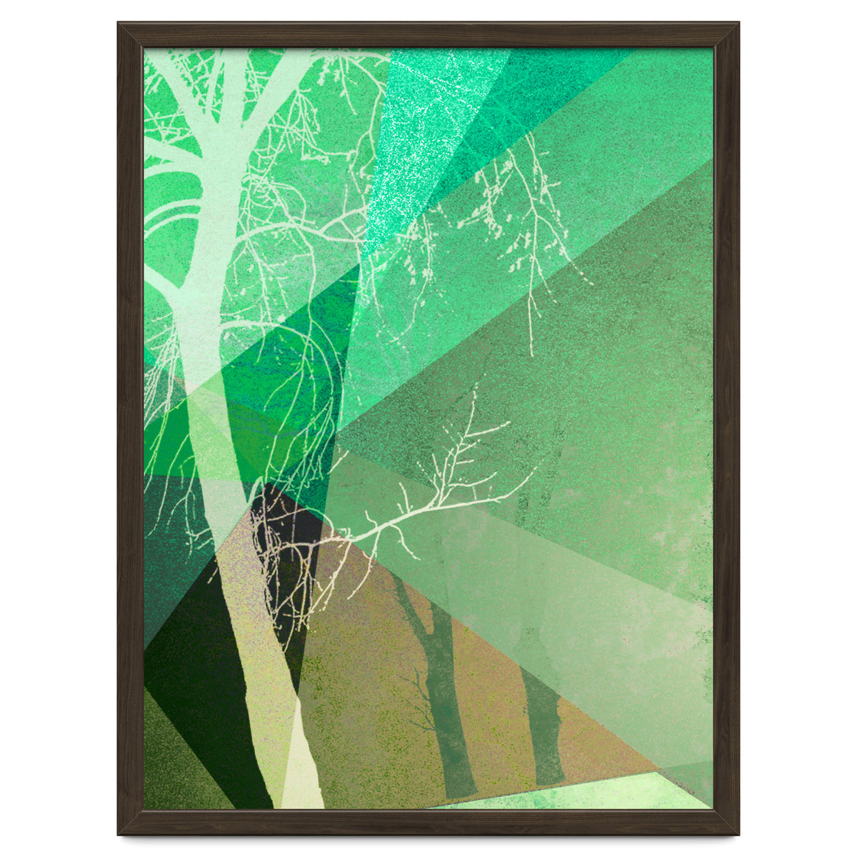 P22-B6 Trees And Triangles