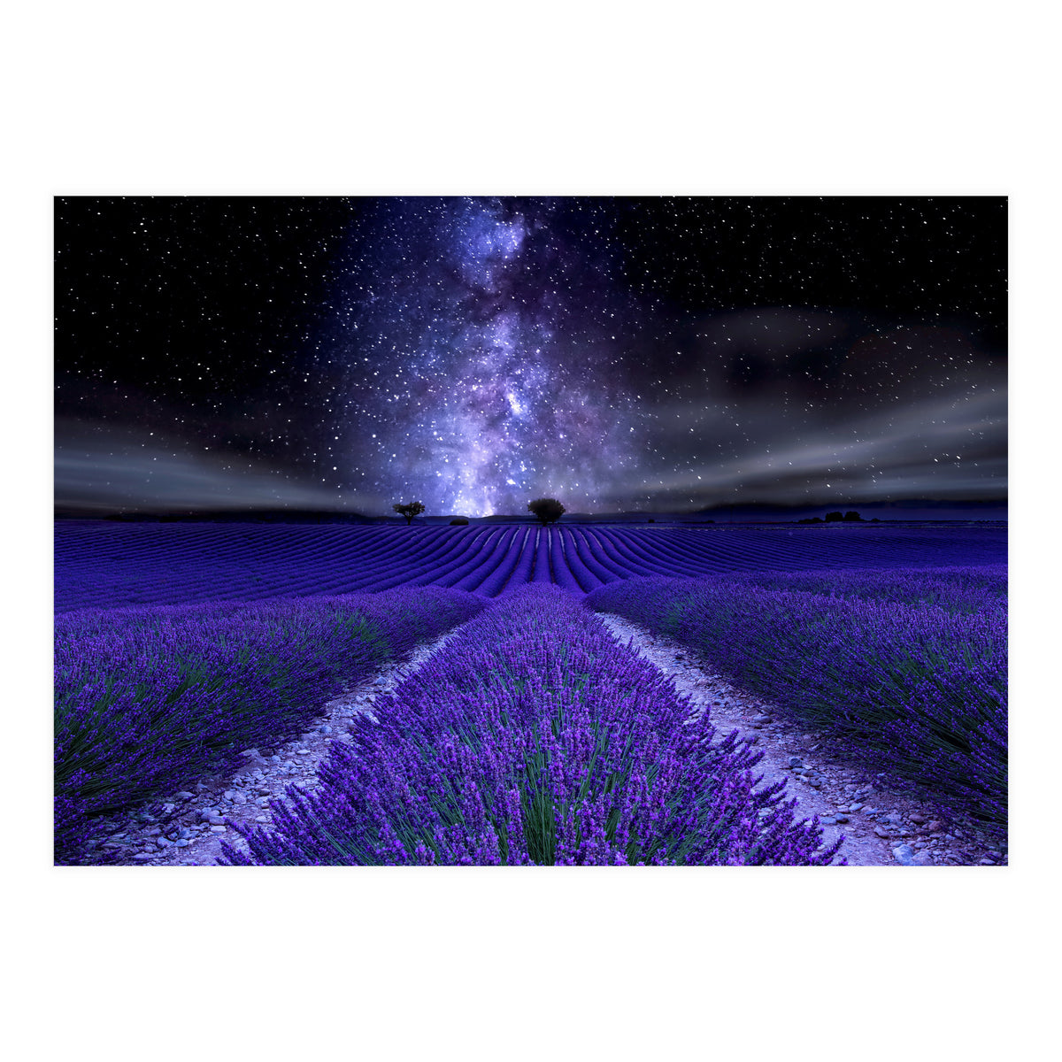 Under The Stars (Print Only)