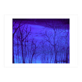 Autumn Forest (Print Only) thumbnail