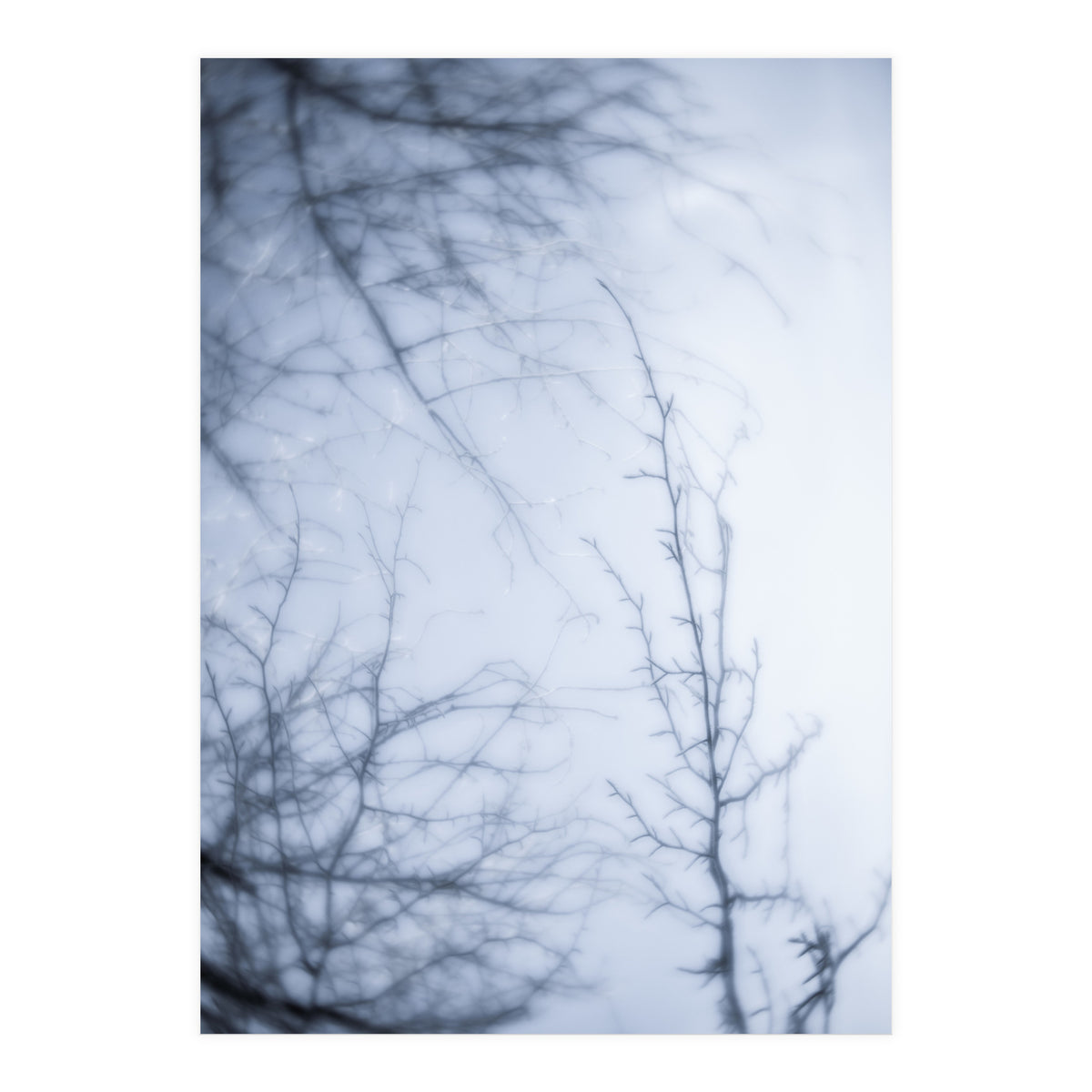 Forgotten Memories of Summer #21 (Print Only)