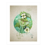 Luna Moth  (Print Only) thumbnail