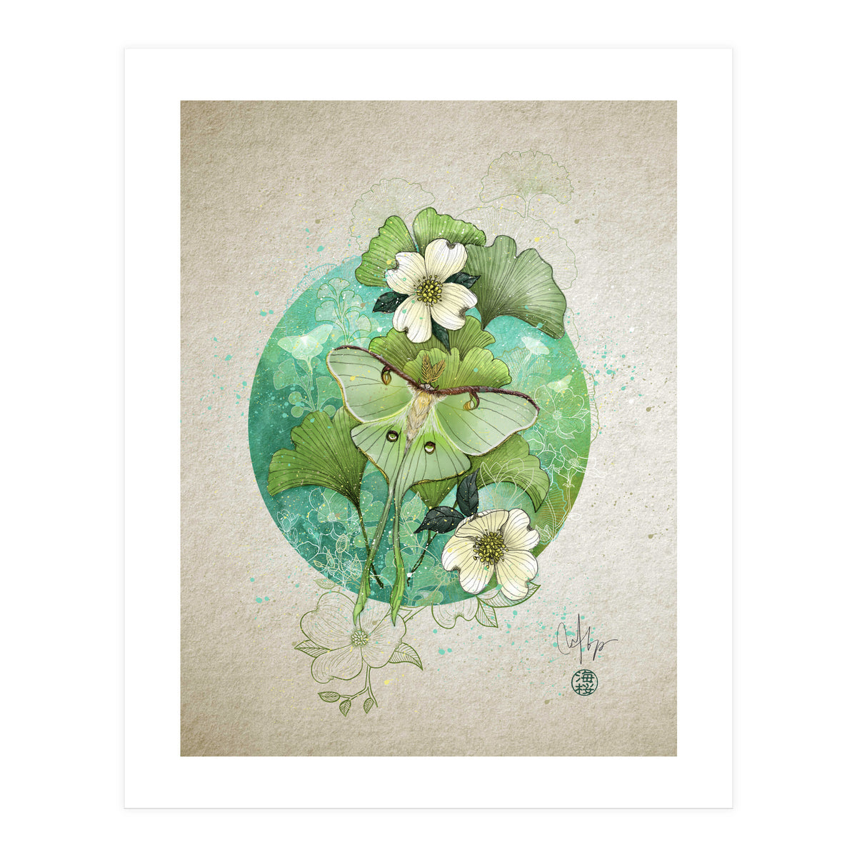 Luna Moth  (Print Only)