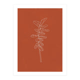 Line Art Botanical Terracotta (Print Only) thumbnail